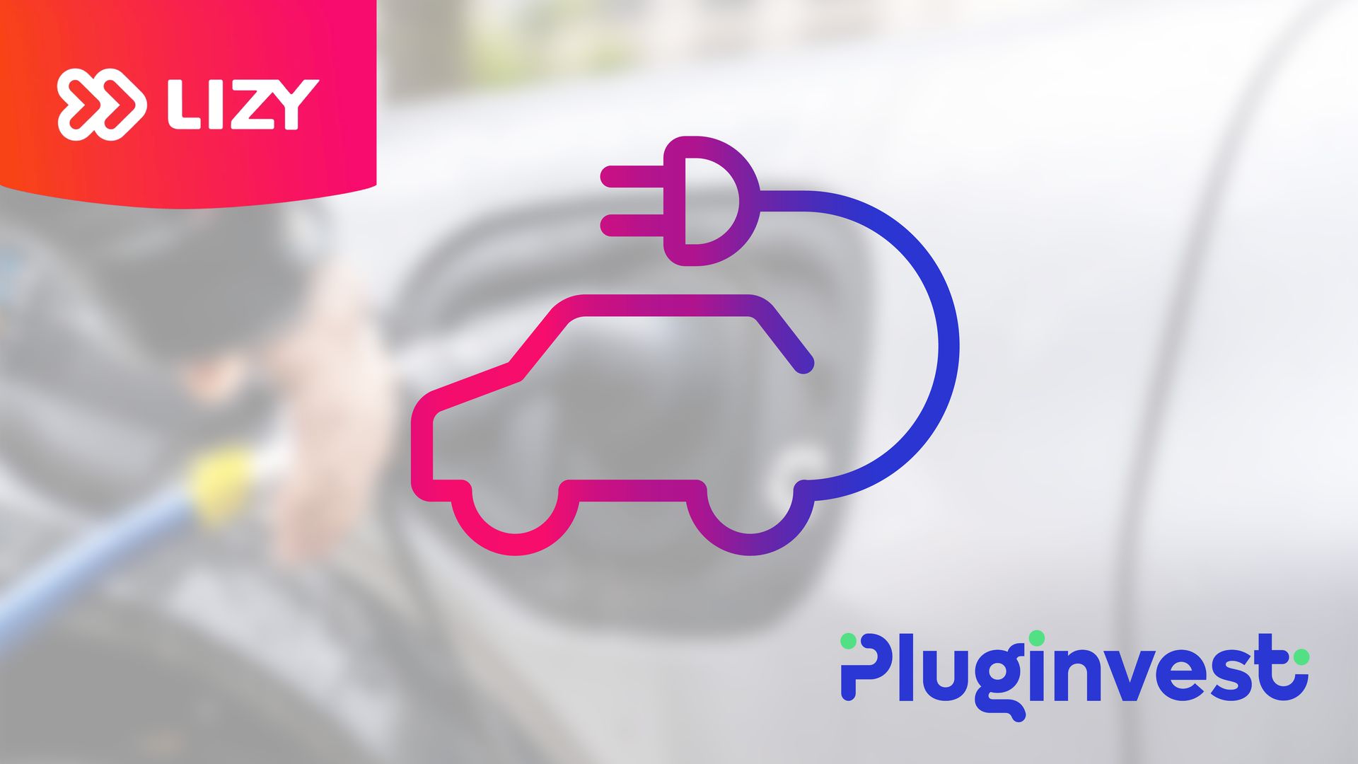 About Lizy Pluginvest